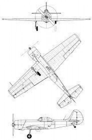 Three tail struts with YAK-50 shock absorbers