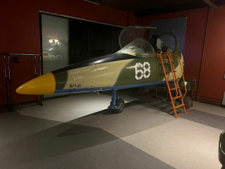 Aviation simulator L-39