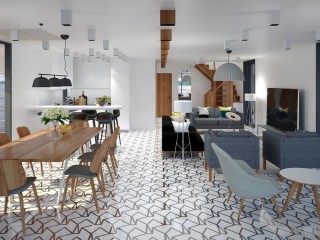 Houseboat Futura 180