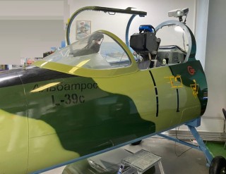 Flight simulator, L-39 aircraft