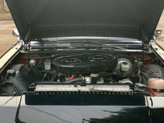GAZ 14 Seagull
