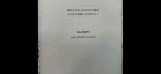 Asynchronous electric motors