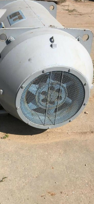 Asynchronous electric motors