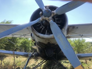 Aircraft An-2