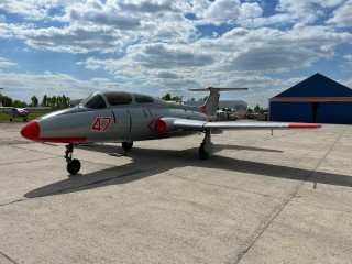 Airplane L-29 "Dolphin" on a pedestal