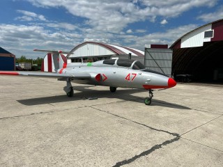 Airplane L-29 "Dolphin" on a pedestal