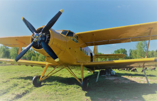 AN-2 plane for pedestal