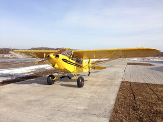 Savage Cub aircraft, 2015